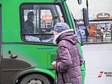 В мэрии Омска прокомментировали жалобу на давку в общественном транспорте
