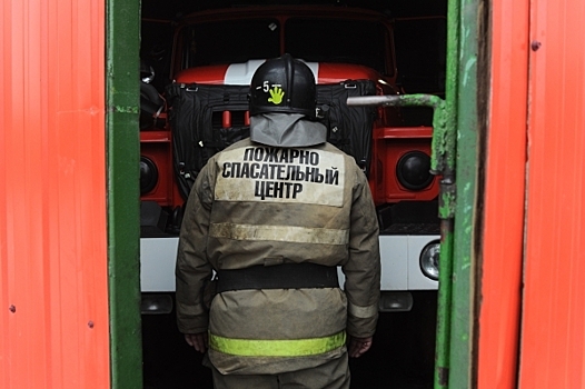 В Подмосковье на пожаре погибла женщина с внуками