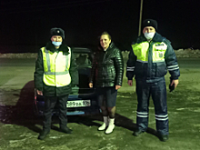 Сотрудники ГИБДД в Республике Татарстан вызволили автоледи из снежной ловушки