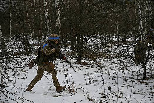 На Украине заявили о хаосе в ВСУ на покровском направлении
