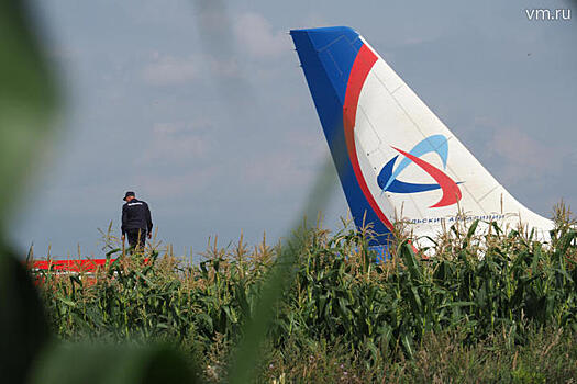 Эксперты начали подготовку к эвакуации А321 с кукурузного поля в Подмосковье