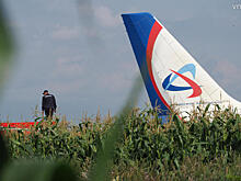 Эксперты начали подготовку к эвакуации А321 с кукурузного поля в Подмосковье