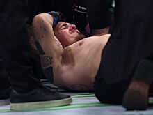 Карьера Тома Аспиналла, временный чемпион UFC в тяжёлом весе, возможный бой с Джоном Джонсом, реакция Даны Уайта, Аспиналл и UFC
