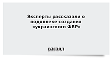 Эксперты рассказали о подоплеке создания «украинского ФБР»