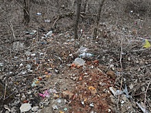 Высокий коэффициент лени: соцсети считают, что Каменск-Шахтинский утопает в мусоре