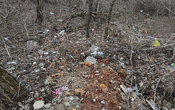 Высокий коэффициент лени: соцсети считают, что Каменск-Шахтинский утопает в мусоре