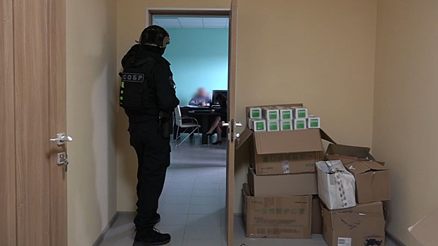 В Новгородской области сотрудники полиции выявили покушение на совершение налогового мошенничества