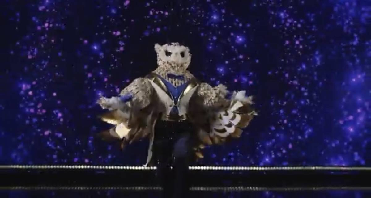 «Таких ног нет ни у кого»: жюри раскрыли Волочкову в костюме Совы на шоу «Маска. Танцы»