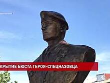 Бюст в память о Герое России Андрее Зозуле открыли в Зерноградском районе