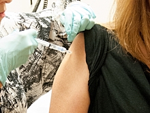 Коллективный иммунитет в Петербурге сформируется к концу 2021 года