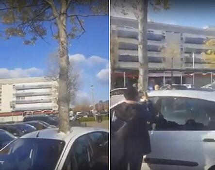 Французы «прорастили» дерево сквозь автомобиль