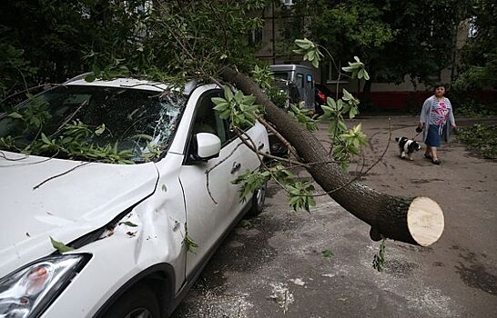 Ураган в Москве: 11 человек погибли, более 50 пострадали