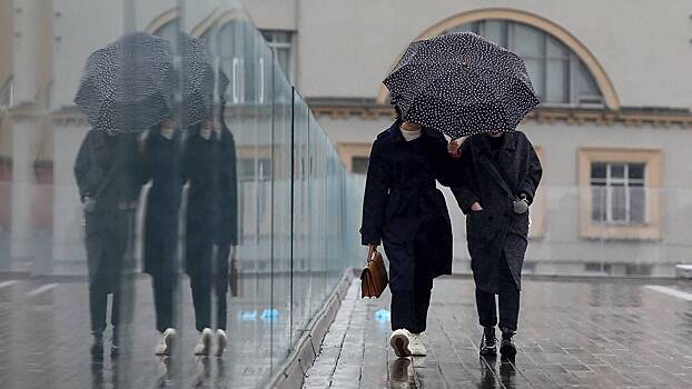 Синоптики предупредили москвичей о дождливой погоде 7 мая