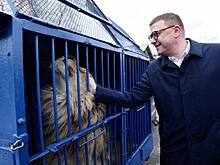 Спасенных челябинским ветеринаром льва и леопарда отправили в Танзанию