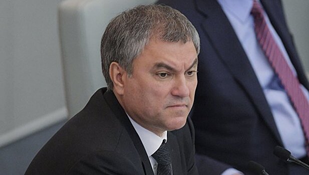 Володин призвал создать единый международный список террористических групп