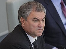 Володин призвал создать единый международный список террористических групп