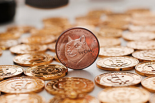 Илон Маск пообещал продолжить поддержку криптовалюты Dogecoin
