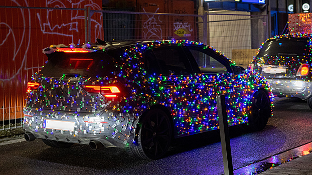 Россиян предупредили о лишении водительских прав за новогодние украшения на автомобиле