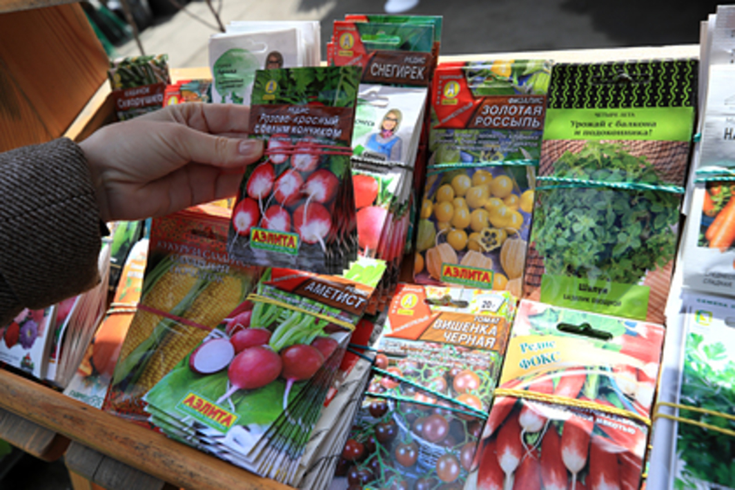 семена. семена овощей. семенной ворох. пакетики с семенами. производители семян.