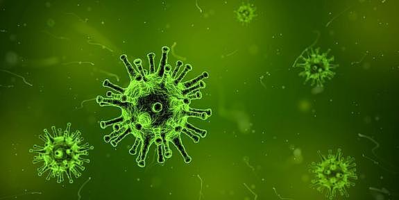 Сильный иммунитет может пойти во вред при заражении COVID-19