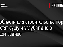 В Ленобласти для строительства порта прирастят сушу и углубят дно в Финском заливе