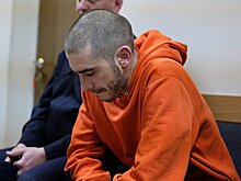 Владелица машины, на крыше которой пел Хаски, попросила не возбуждать дело