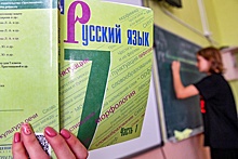 В МЭР заявили, что в странах СНГ вырастет число русскоязычных школ