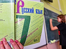 В МЭР заявили, что в странах СНГ вырастет число русскоязычных школ