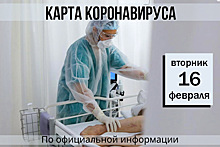 16 февраля. Карта коронавируса. Еще 139 новых случаев заболевания за сутки