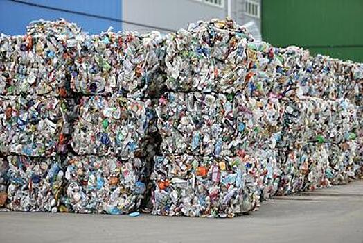Количество контейнеров для раздельного сбора отходов в Подмосковье увеличилось за 2022 год на 4 тыс.