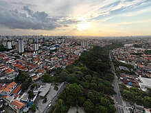 OC: в Сан-Паулу местный житель с 2002 года высадил 40 тыс. деревьев