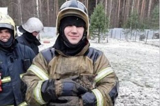 В Александровском районе пожарные спасли кота из горящего дома