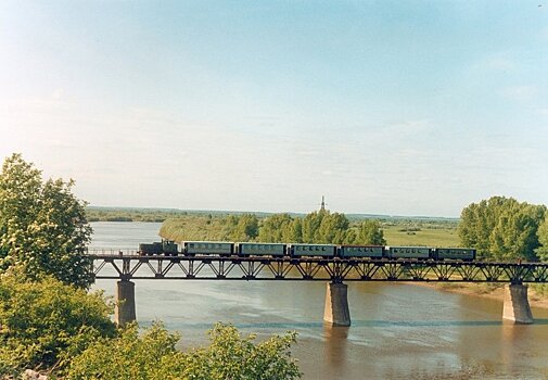 Удивительный мост в Токаревке