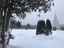 Снегопад накрыл московский регион