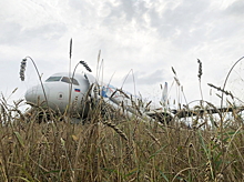 Росавиация вернулась к расследованию посадки самолета в пшеничном поле
