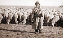 Почему пастухам на Руси было запрещено стричься