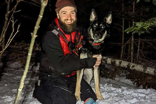 В США немецкая овчарка и хозяин нашли в лесу пропавшую девочку