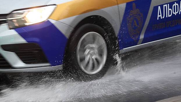 Все к лучшему. Даже рыбки знают