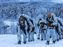 Politico: США считают европейские гарантии безопасности неважными