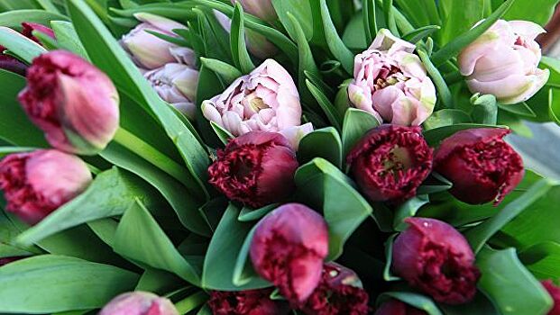 Россияне перед 8 марта снизили расходы на цветы, установили эксперты