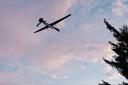 Стало известно о бьющих тревогу из-за неработающей защиты от БПЛА россиянах