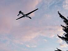 Стало известно о бьющих тревогу из-за неработающей защиты от БПЛА россиянах