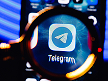 Вице-спикер Госдумы запустил кампанию против блокировки Telegram
