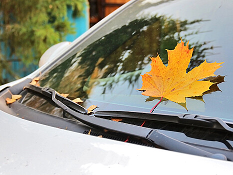 Дергается, троит, потеет и не тормозит: почему осенью машины чаще ломаются