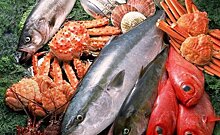 Бизнес-аккаунт дня: нижнекамский магазин морепродуктов