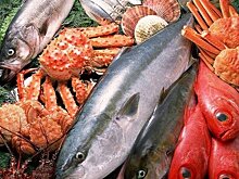 Бизнес-аккаунт дня: нижнекамский магазин морепродуктов