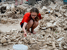 Археологи требуют защитить культурный слой