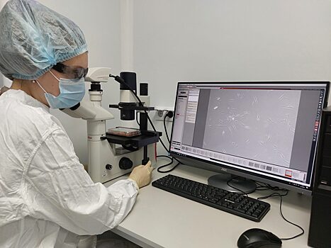 Нижегородские ученые рассказали о новых методах лечения ожогов