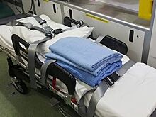 Младшеклассник выпрыгнул из окна 4-ого этажа в Колпино