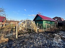 Дачница решила избавиться от осенней листвы в огороде и в результате спалила соседский дом